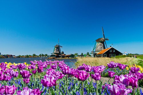 Wind mill